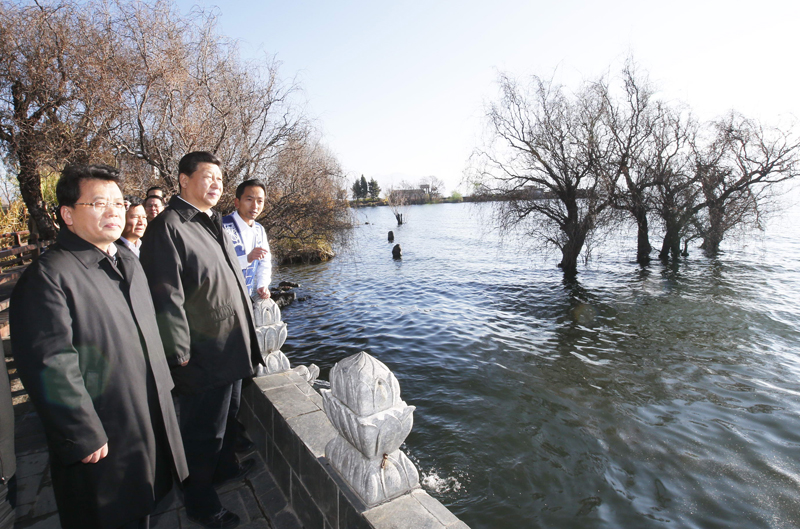 2015年1月19日，习近平总书记在大理调研，当他喝到来思尔摩菲酸酪乳时说：“没想到在大理有这么好喝的酸奶”。总书记的肯定给予来思尔人极大的鼓舞和鞭策，总书记支